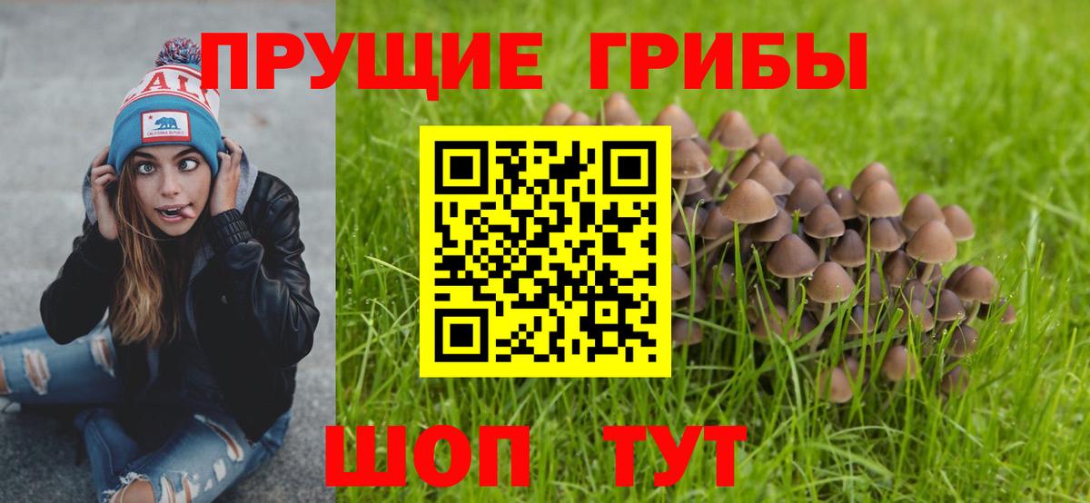 Галлюциногенные грибы Мелеуз