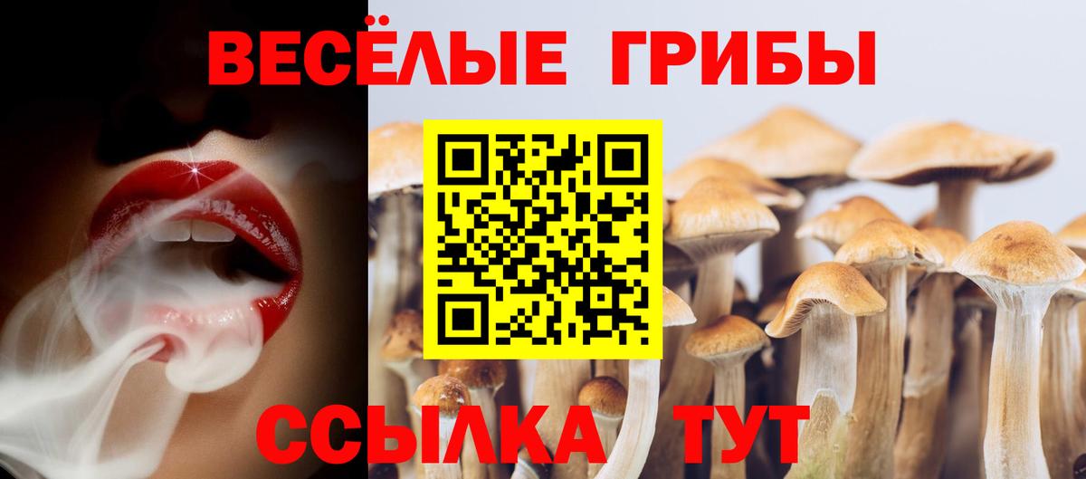 Галлюциногенные грибы ЛСД  Вход с VPN  Галлюциногенные грибы MAGIC MUSHROOMS  цена наркотик  Мелеуз 